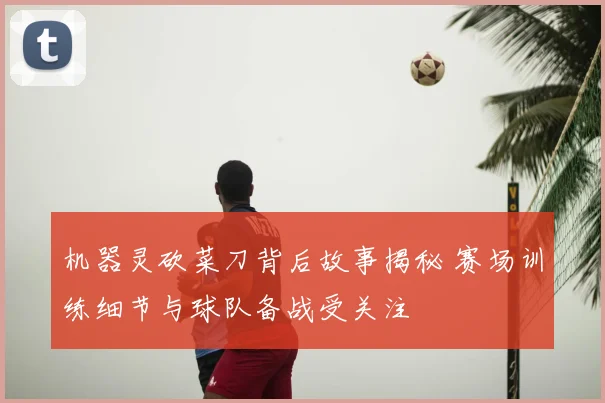 机器灵砍菜刀背后故事揭秘 赛场训练细节与球队备战受关注