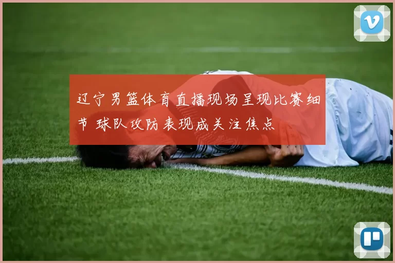 辽宁男篮体育直播现场呈现比赛细节 球队攻防表现成关注焦点