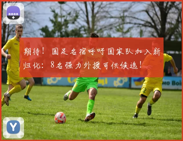 期待！国足名宿呼吁国家队加入新归化：8名强力外援可供候选！
