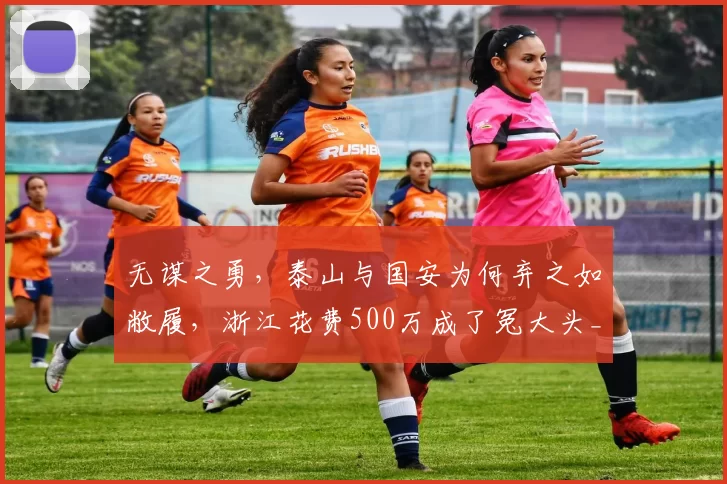 无谋之勇，泰山与国安为何弃之如敝履，浙江花费500万成了冤大头_方昊_比赛_大连队