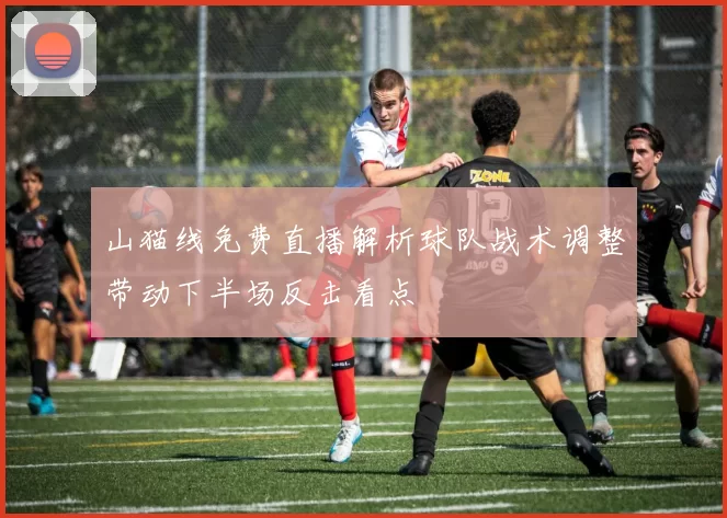 山猫线免费直播解析球队战术调整带动下半场反击看点